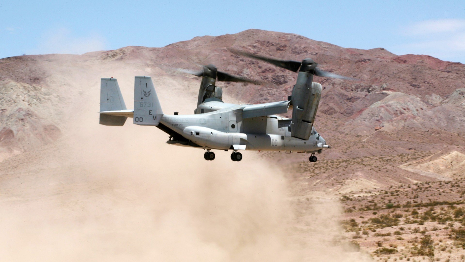 当热带彩虹遇见非洲盾牌,一场小国足球的生存史诗